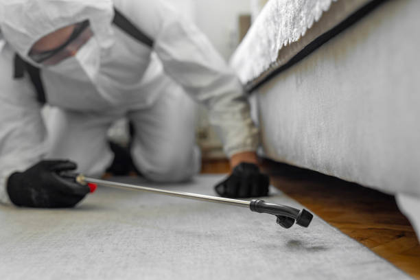 Professional Ant Control technician working in Ben Wheeler, TX